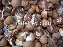 Quality Betel Nuts