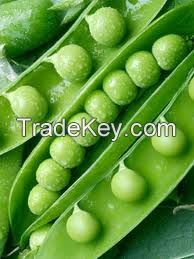 Green Peas