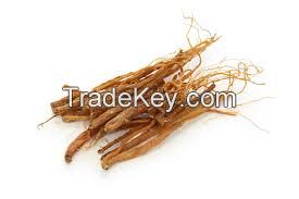 Red Ginseng Extracts