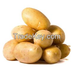 Fresh Potatoes