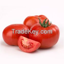 Fresh Tomatoes