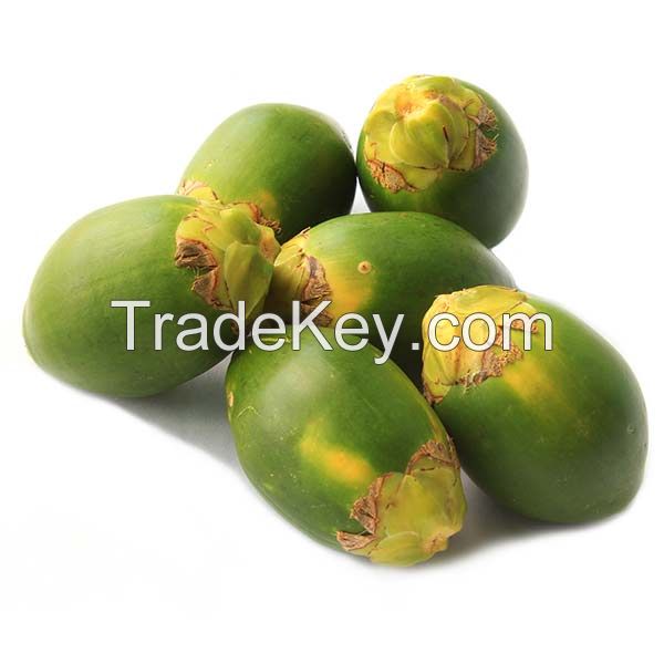 The Fresh Betel Nut with Lowest Price 0084935027124