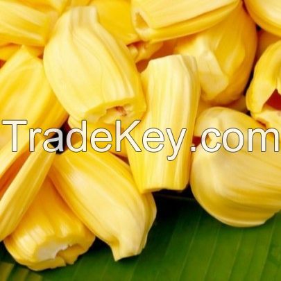 Jack Fruit From Viet Nam 0084935027124