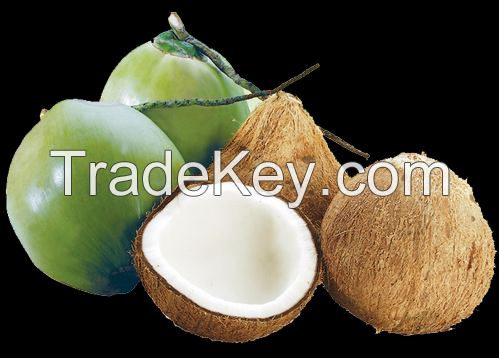 CHEAP PRICE SEMI HUSKED COCONUT FROM VIET NAM WHATSAPP +84935027124