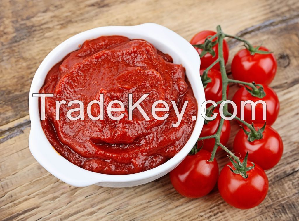 tomatopaste for sale