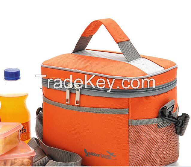 New arrival disposable cooler bag for frozen food