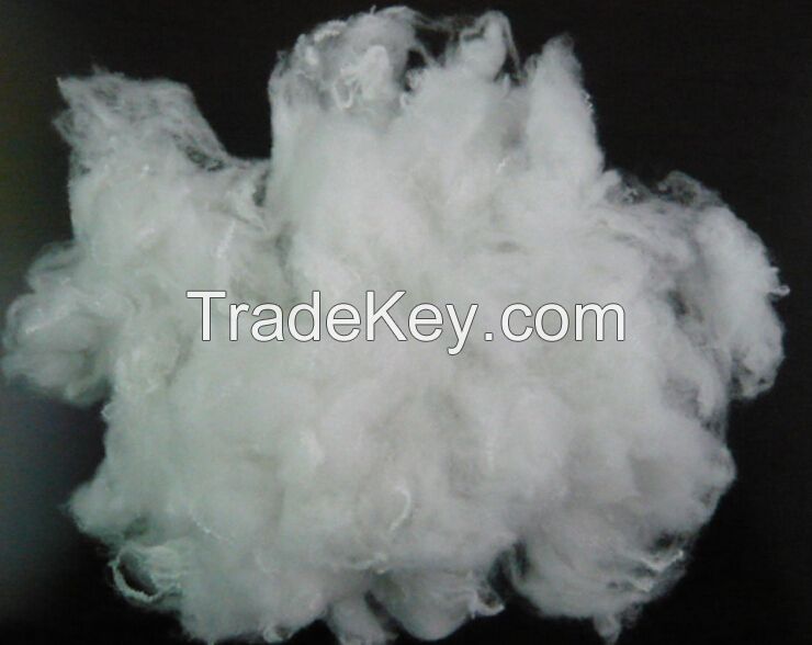 Recycled Polyester Fiber