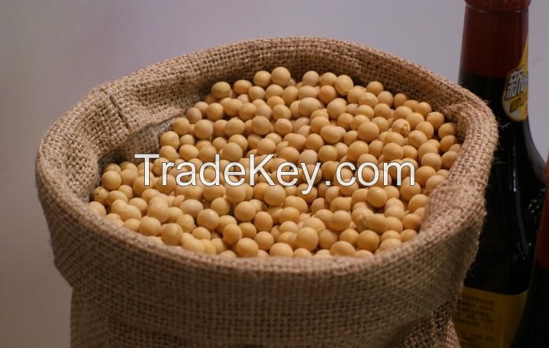 non-gmo bulk soybean