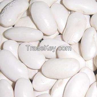 White kidney bean extract