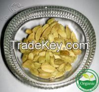 Organic Cardamom