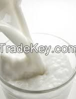Cow Powder Milk, Dry Milk