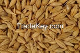 Barley feed, wheat, corn, soybean