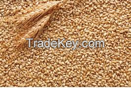 Wheat product