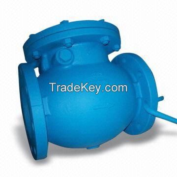 Stainless Steel Swing Check Valve, PN10, PN16