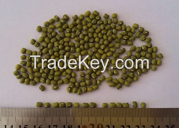 sell mung beans