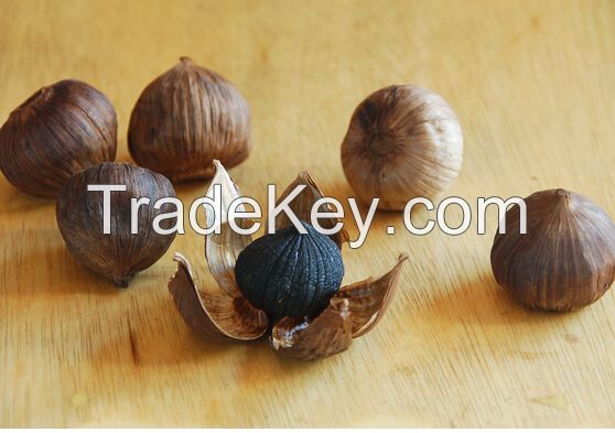 black garlic single clove