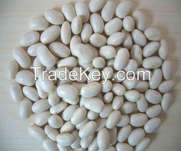 2014 new crop white kidney bean / butter bean / white bean