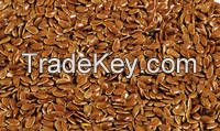 Linseeds / Flaxseed