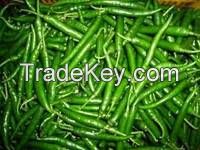 IQF Frozen Green Broad Beans