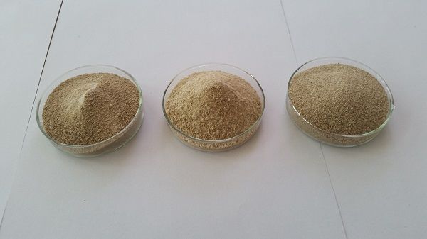 sodium alginate