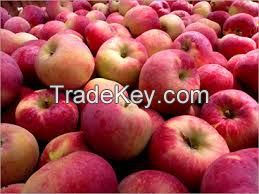 apple, apple fruit, Bananas, Oranges, , gala apple