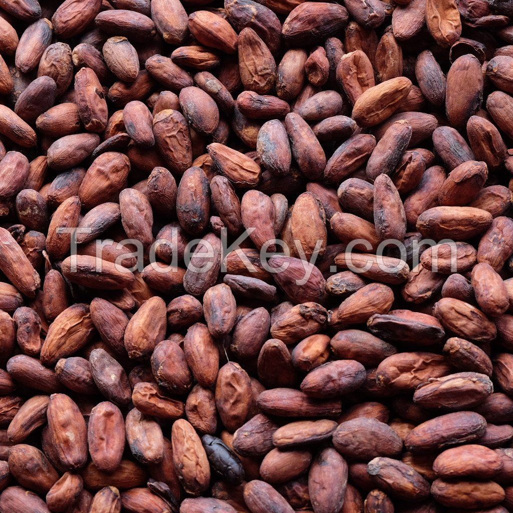 cocoa beans