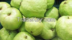 fresh guava