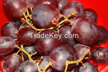 fresh grapes