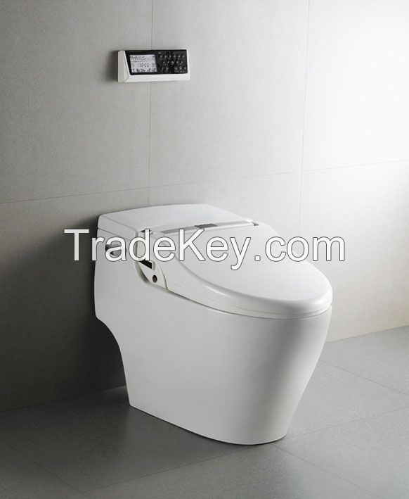 Limited Quantity Promotion upto 62% discount on our Luxurious Elektoilet.