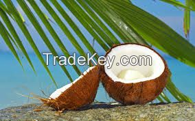 Fresh Coconut and coconut shell