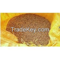 Sell Rice Bran