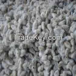 Sell Cotton Seeds