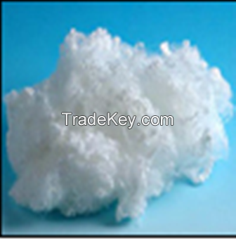 Polyester fibers