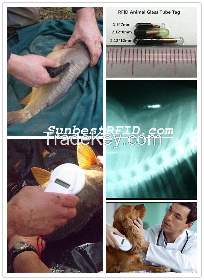 Animal E-ID manament base on RFID technology