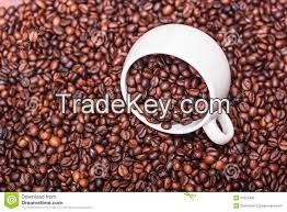 Arabic Coffee Beans