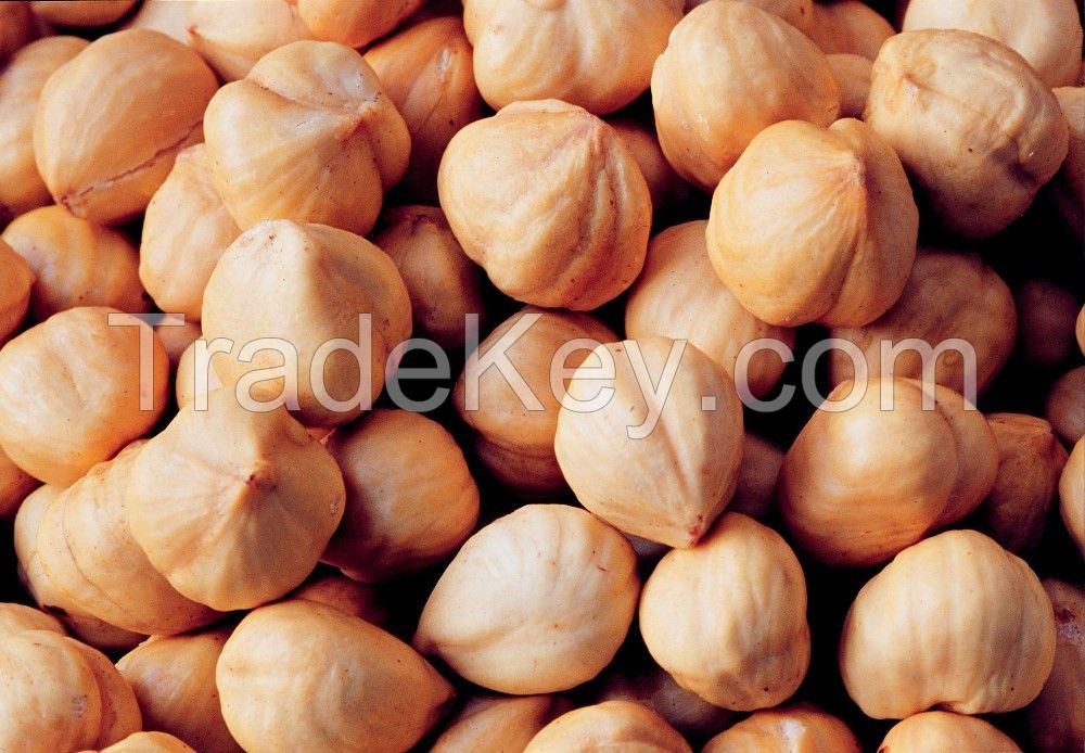 Raw Hazelnut at competitive price