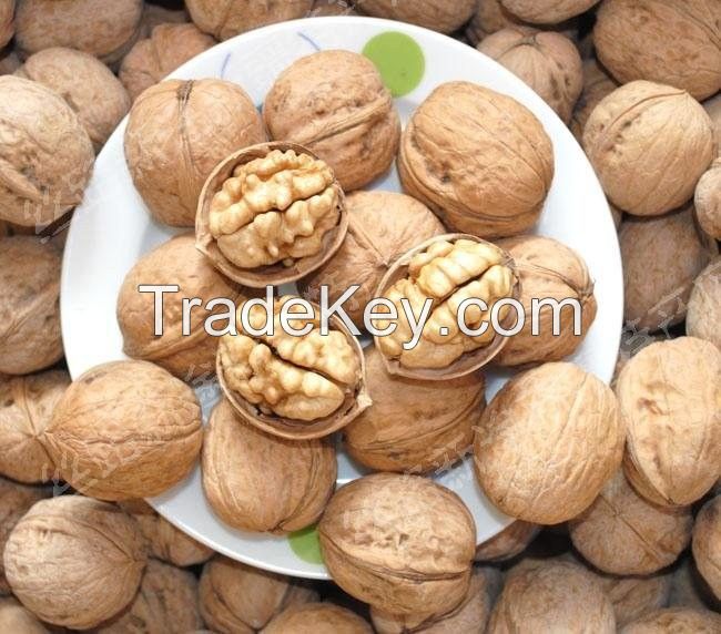 Grade A  Walnuts, Walnut Kernels