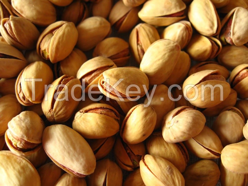 Cheap Price Pistachio Nuts