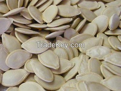 Pumpkin seeds