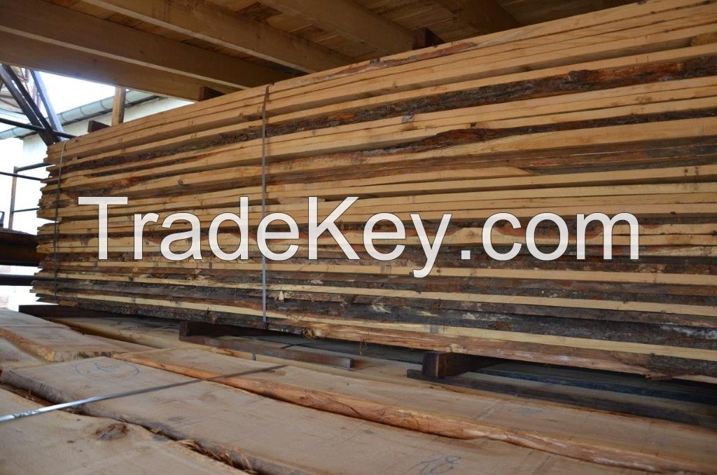 European White Oak