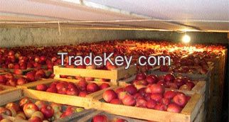 FRESH FRUIT AND VEGETABLES