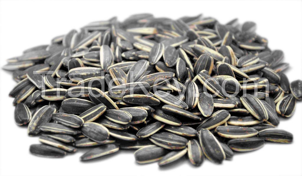 Sunflower Seed, Pumpkin Seed