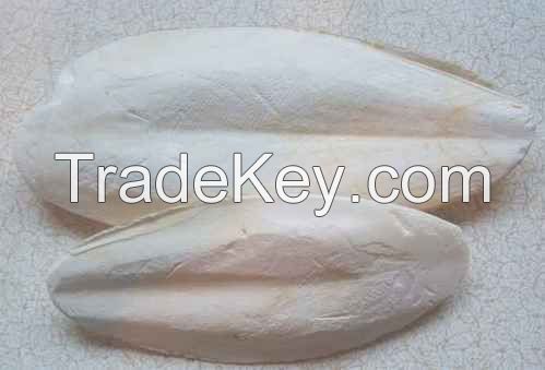 Cuttlefish bone offer