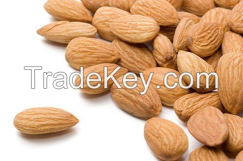 QUALITY ALMOND NUTS FOR SALE