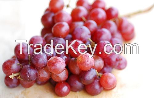 Red globe grapes