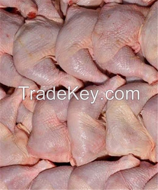 Grade A Halal Frozen Whole Chicken From Brazil