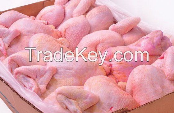 High Quality Frozen Premium Grade Halal Whole Chicken And Chicken Parts