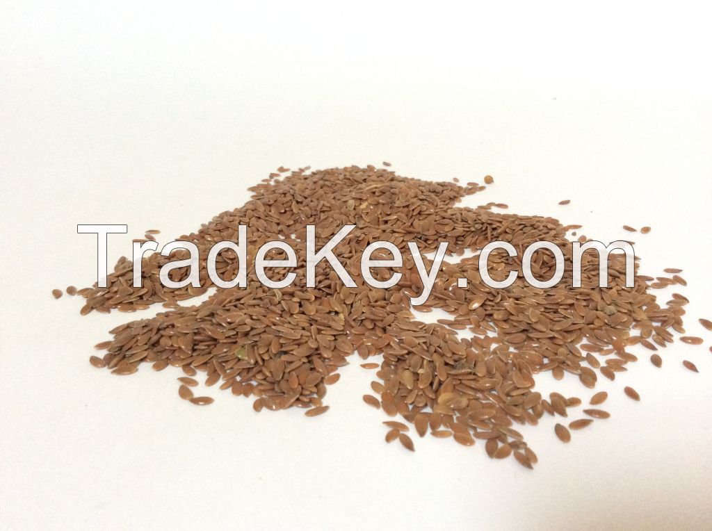 Organic Ethiopian Lin/Flax seed