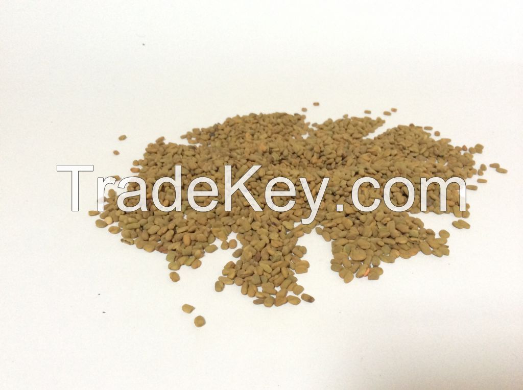 Ethiopian Fenugreek seed