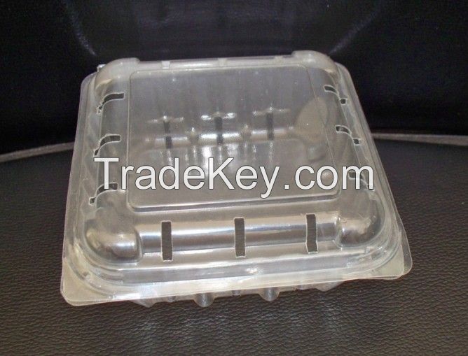 disposable plasticfruit  blueberry trays or strawberry packing trays